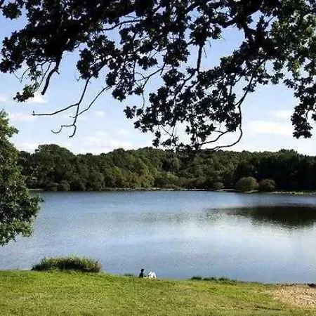 3 Etoiles - Piscine - Ccaffag Pluherlin